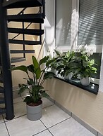 Hotel Palm Premium