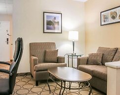 Comfort Inn South