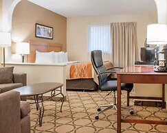 Comfort Inn South
