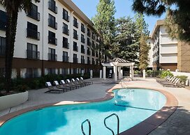Hilton Stockton