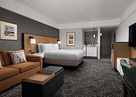 Hilton Stockton