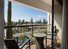 Hilton Stockton