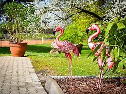 ibis Styles Linz
