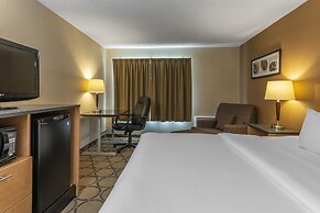 Comfort Inn Brandon