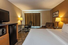 Clarion Pointe