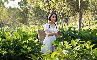 Dusit Princess Chiang Mai