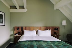 The Cambrian