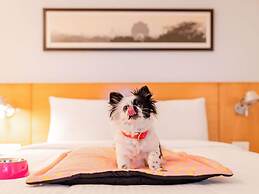 ibis Melun Hotel