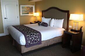 The Edgewater