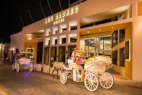 Hotel Los Aluxes