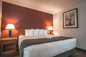 Quality Inn and Suites