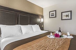 Comfort Inn Trenton