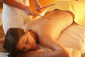 Grand Hotel Toplice - Sava Hotels & Resorts
