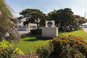 Palm Suites
