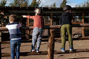 Hunter Valley Resort