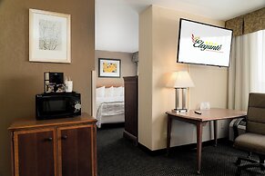 MCM Eleganté Hotel & Conference Center Beaumont