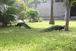 Hotel Plaza Caribe