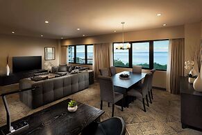 Hilton Darwin