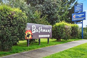 Comfort Inn Coach & Bushmans