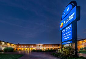 Comfort Inn & Suites King Avenue