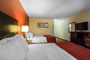 Comfort Inn & Suites Airport South