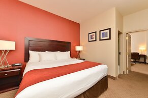 Comfort Inn & Suites Airport South
