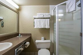 Comfort Inn & Suites Airport South