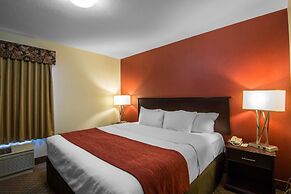 Comfort Inn & Suites Airport South