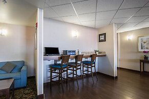 Comfort Inn & Suites Airport South