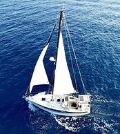 Tharroe of Mykonos