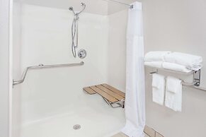 Microtel Inn & Suites by Wyndham Appleton