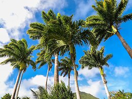 Hermitage Nevis