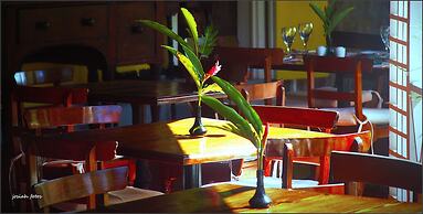 Hermitage Nevis