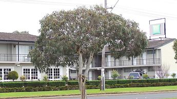 ibis Styles Albany