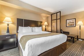Comfort Suites Downtown