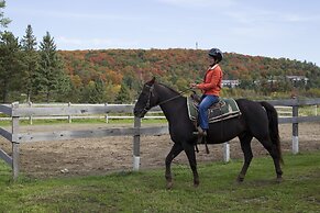 Deerhurst Resort