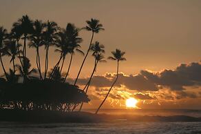Fairmont Orchid