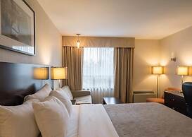 Quality Hotel