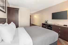 Quality Hotel