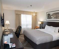 Quality Hotel