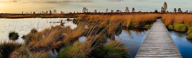 Holiday Inn Express Moss Point by IHG