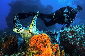 Cozumel Palace - All-Inclusive