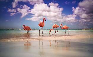 Renaissance Wind Creek Aruba Resort