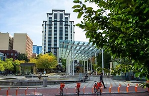 The Paramount Hotel