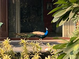 The Radha Ashok