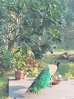 The Radha Ashok