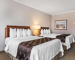 Quality Inn & Suites Downtown