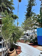 Turtle Beach Resort