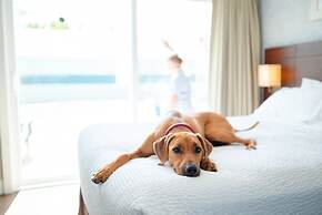 Rodd Moncton Hotel