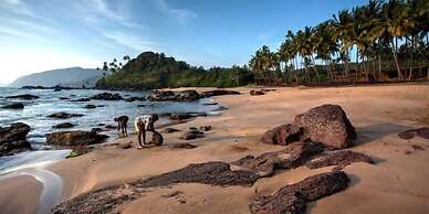 The St. Regis Goa Resort